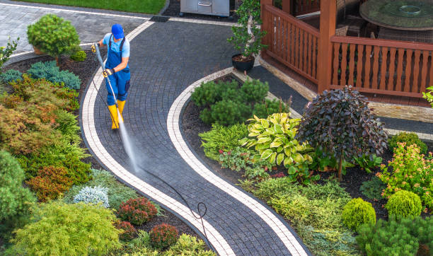 Best Pressure Washing Driveway  in Clarion, PA